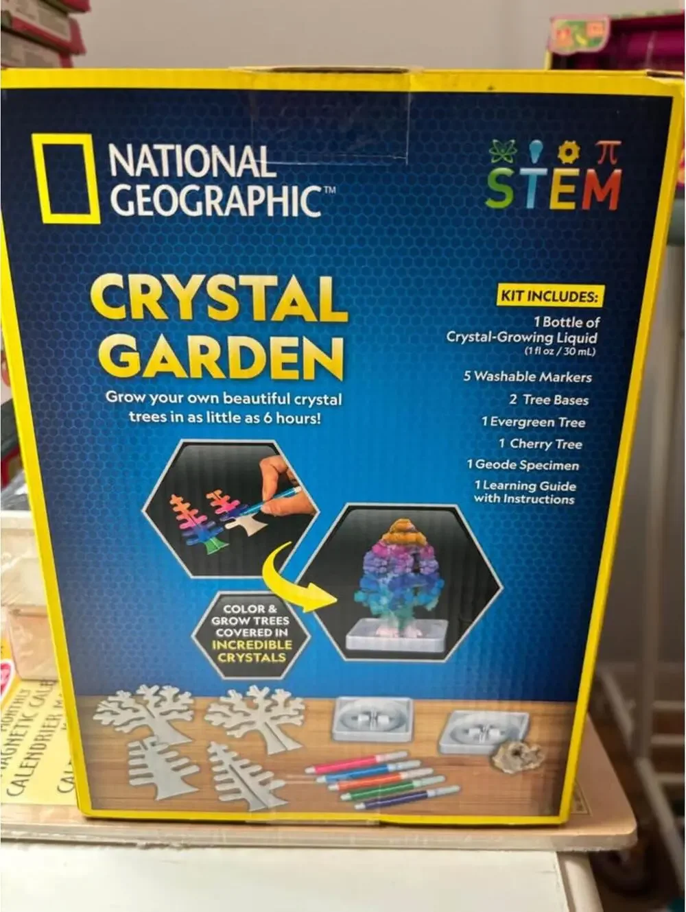 National Geographic Crystal Garden STEM Kit